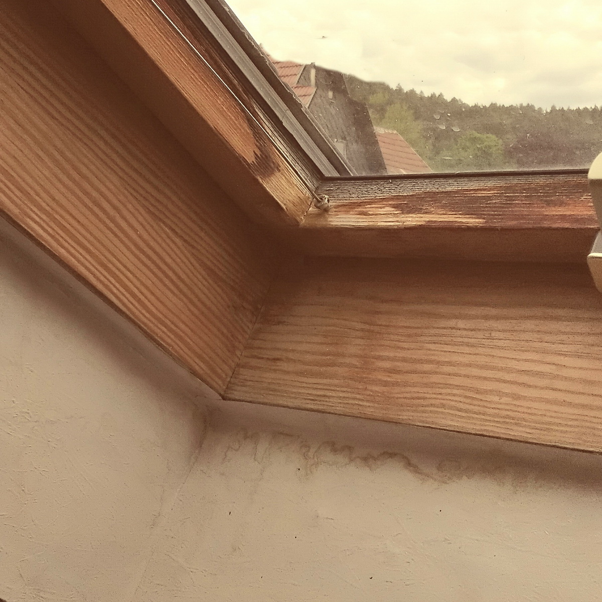 Schräges Dachfenster vergammelt